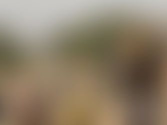 Niger : des attaques jihadistes déplacent des centaines de civils
