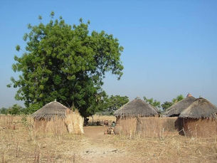 Togo : forces russes et turques présumées dans les Savanes