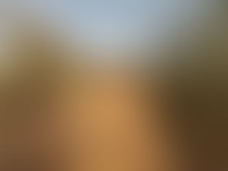 Niger : plusieurs soldats tués près d’Abala, bilan inconnu