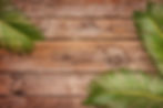 IGD_Website_bckgnd_shutterstock_195633518.jpg