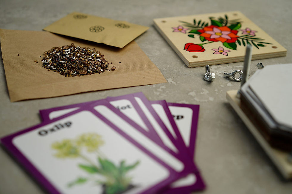 Thumbnail: Wildflower Activity Kit
