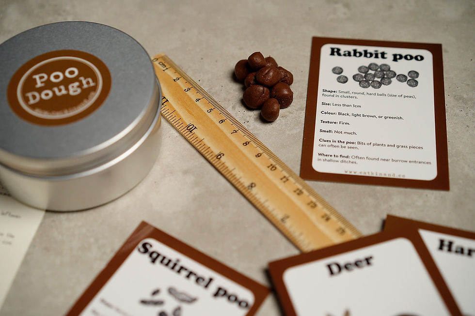 Thumbnail: Poo Activity Kit
