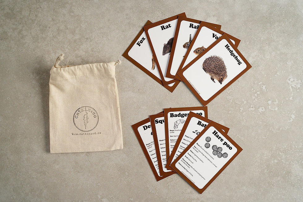 Thumbnail: Animal Poo Cards