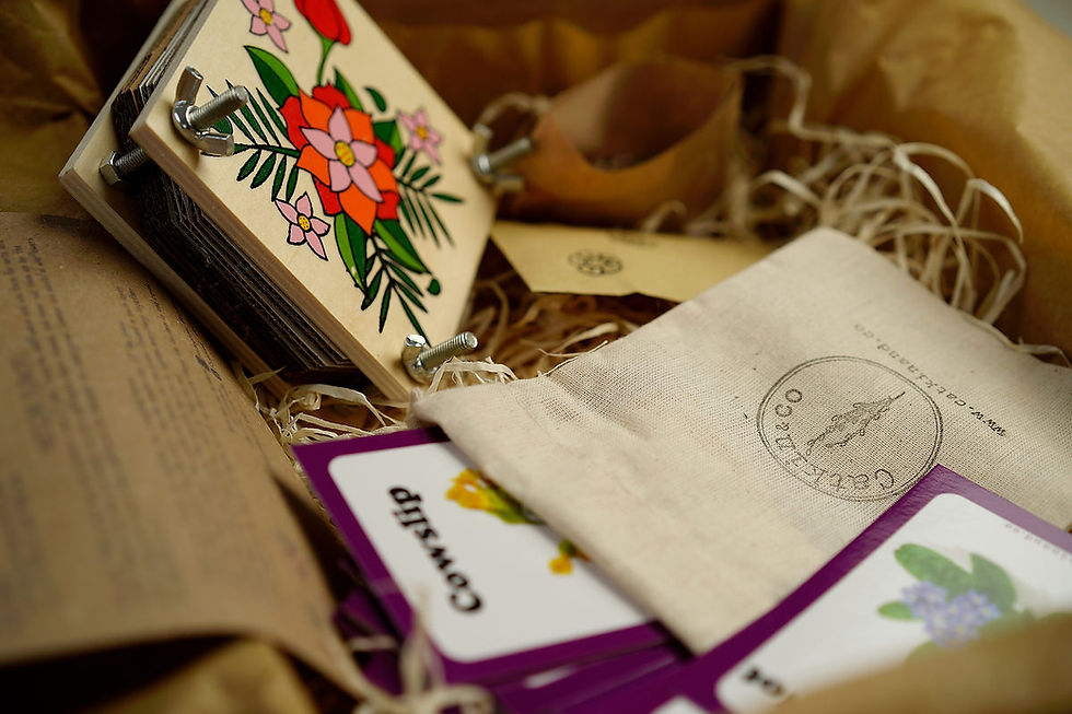 Thumbnail: Wildflower Activity Kit