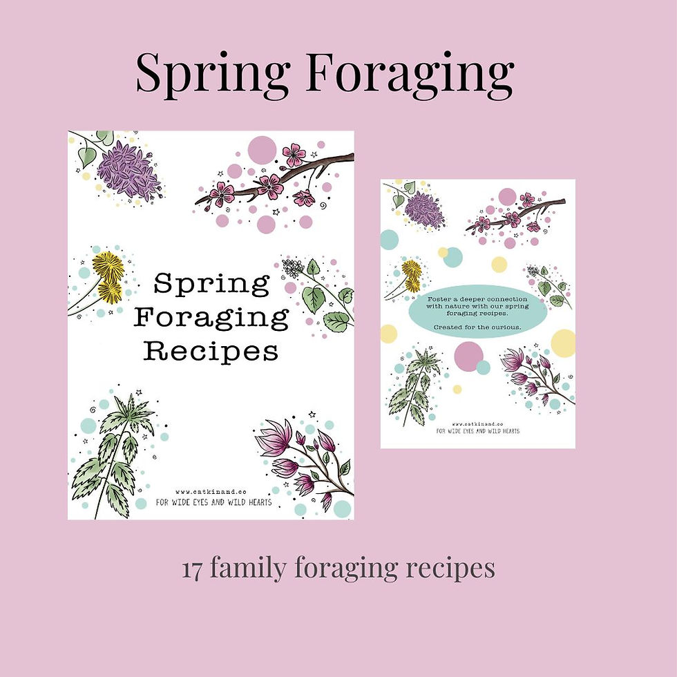 Thumbnail: Spring Foraging Collection