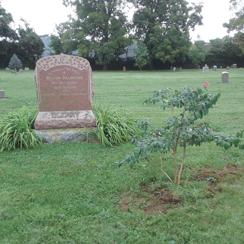 A large brown headstone in a green grass field with a small crepe myrtle tree a few feet in front of it.