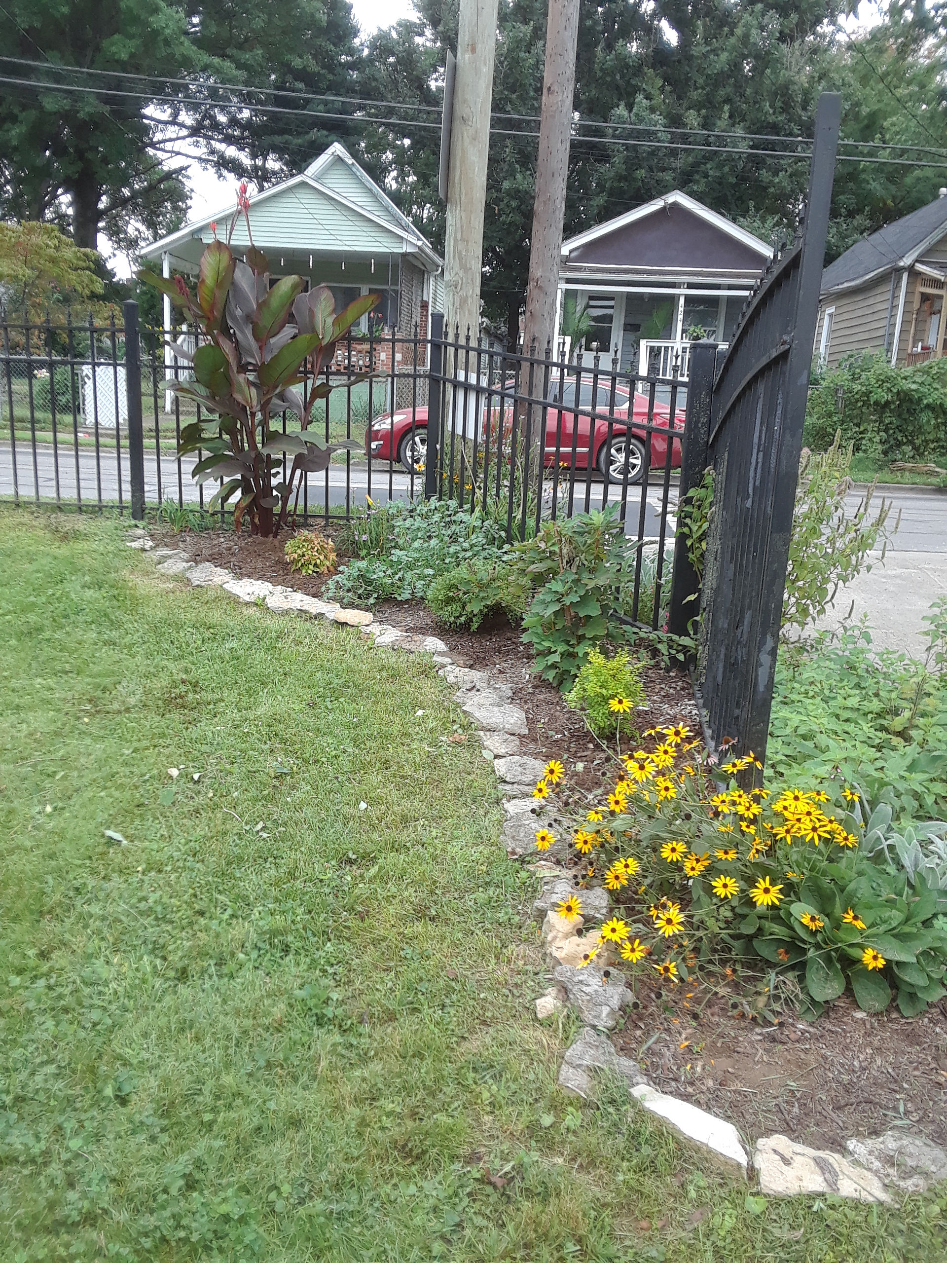 A black iron fence with flower beds lining the base. The flower beds are filled with various green and yellow flowers, and a stone border encloses them in. 