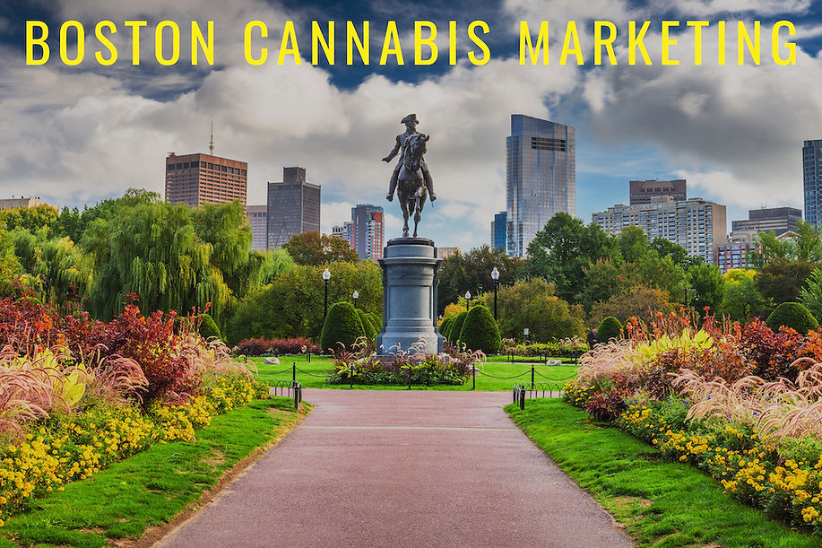 Boston Cannabis Marketing Agency.jpg