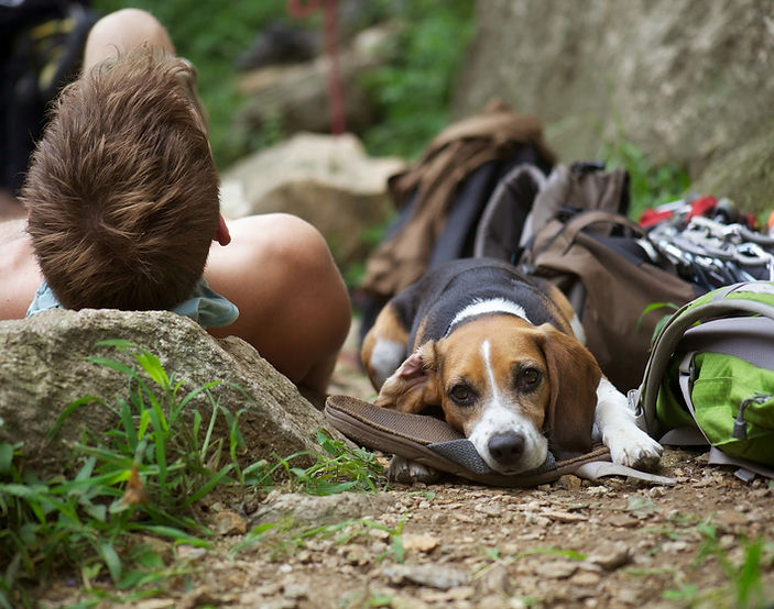 One of my favorite bacon photos, but so sad cause he's in pain, but it was just temporary.