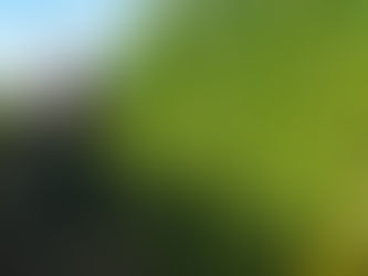 What are the Environmental Benefits of Hemp and CBD?