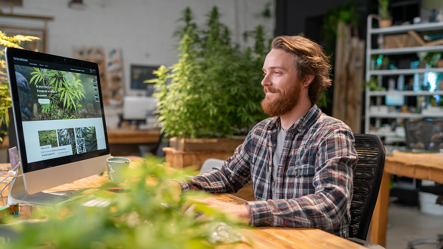Cannabis Custom Web Development.png