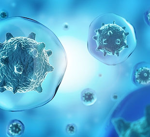 CBD Hemp Immune System Support.jpg