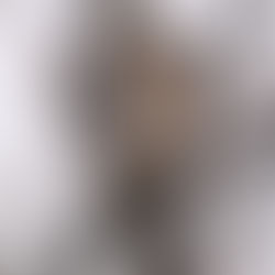 ☆東久留米市内のいきものなど（２月に観察した野鳥・その他）の紹介！