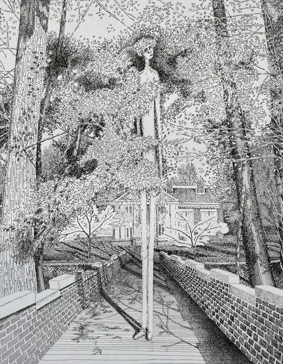 In the Trees