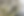 Programs banner_img.png