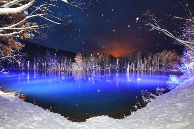 The Blue Pond in Biei, Hokkaido, illuminated in blue during a winter night snowfall.