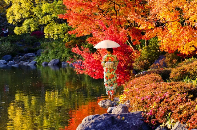 Person wearing a kimono walking beside a pond with autumn leaves in Japan.