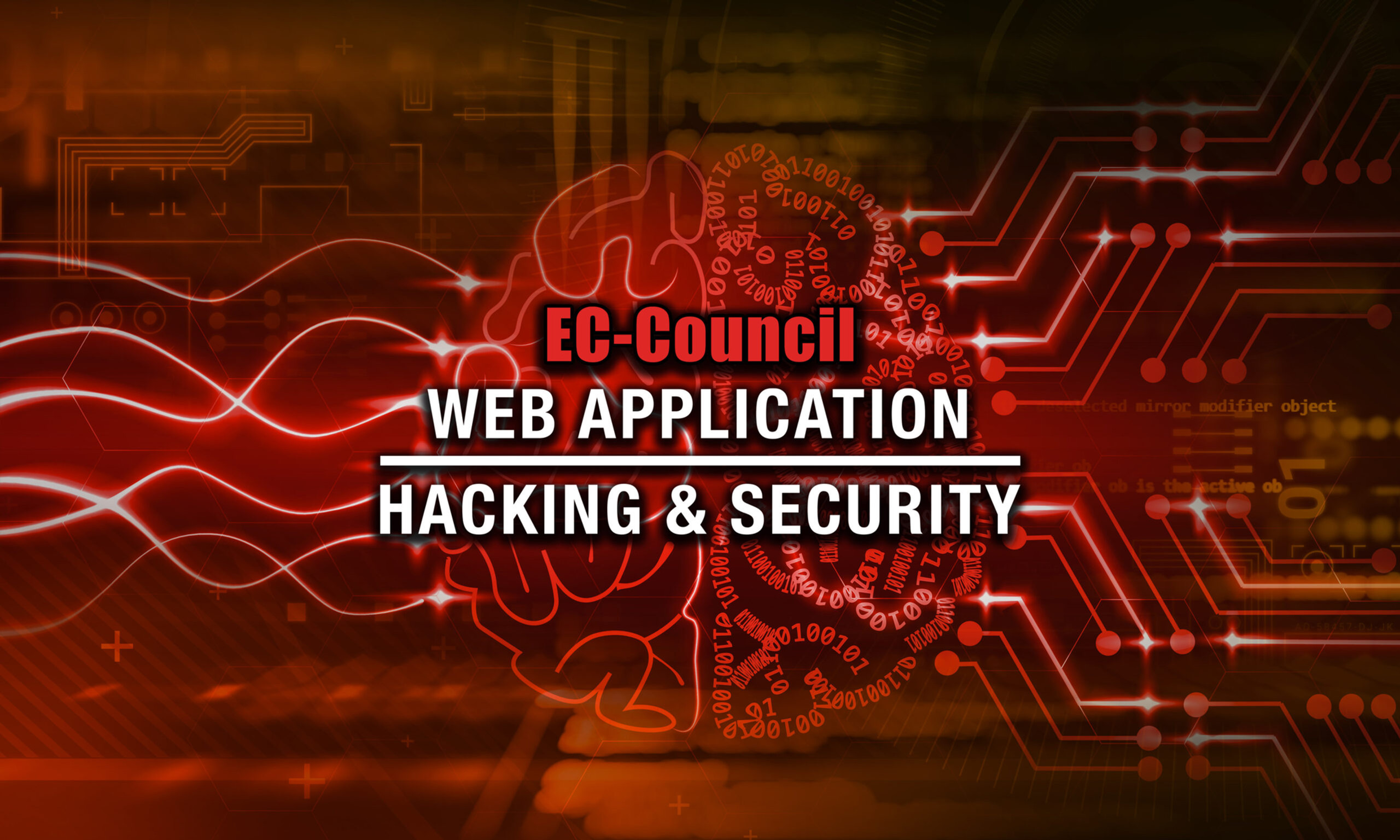 Web Application Hacking & Security