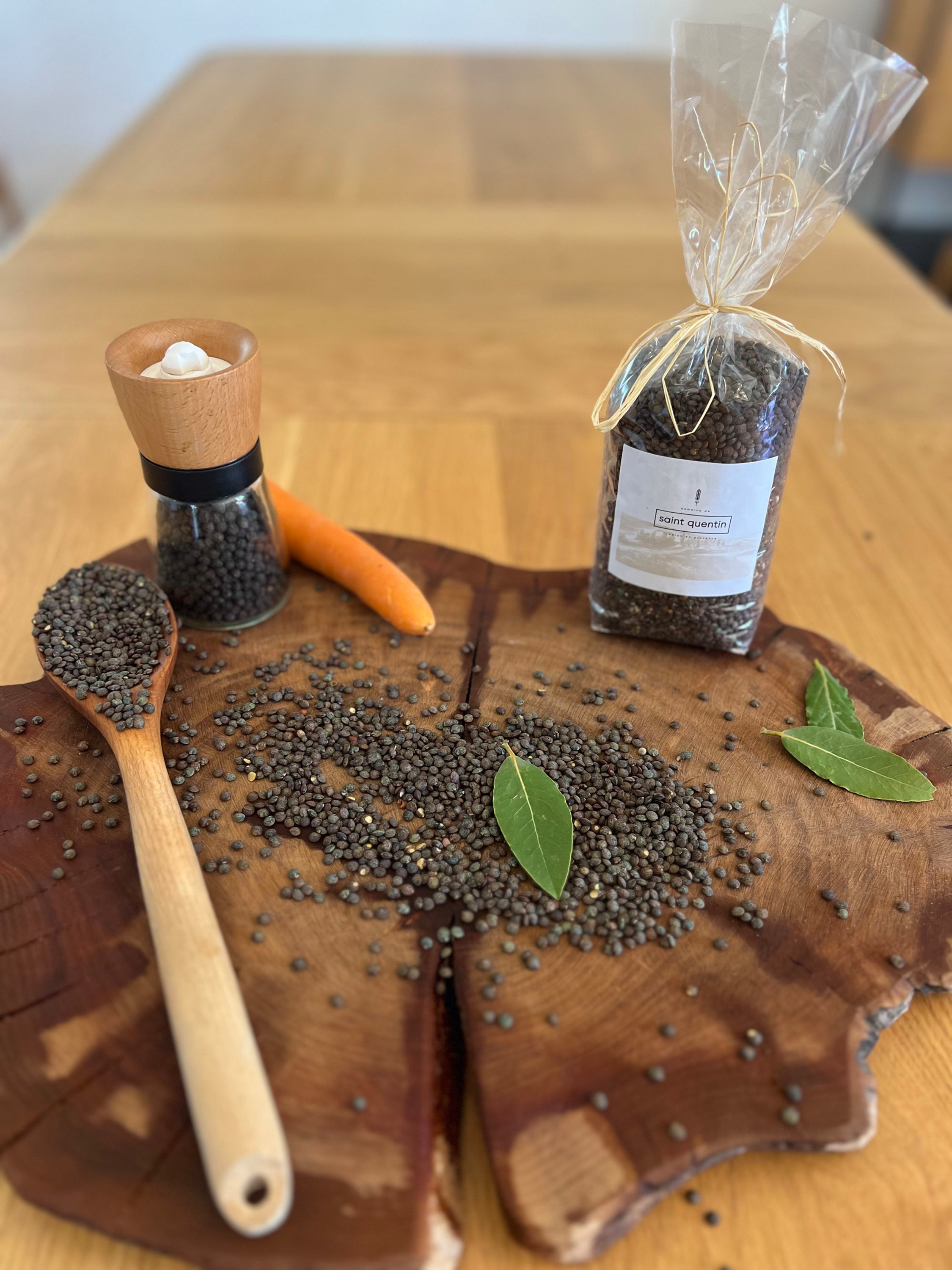 Lentilles Vertes Variété Anicia « lentilles vertes du Puy »