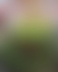 श्री खाटू श्याम जी भारत देश के राजस्थान राज्य के सीकर जिले में एक प्रसिद्ध कस्बा है, जहाँ पर बाबा श्