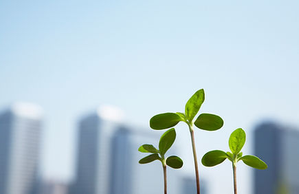 エネルギーソリューション