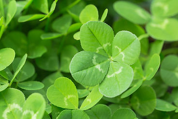 口腔機能の回復や見た目にも配慮した治療に対応