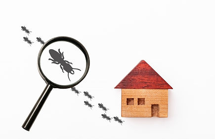 シロアリ駆除施工