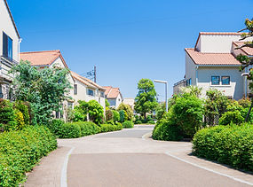 管理・コンサルティング