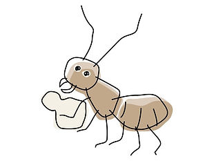 白あり イラスト