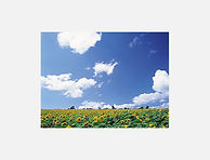 青空