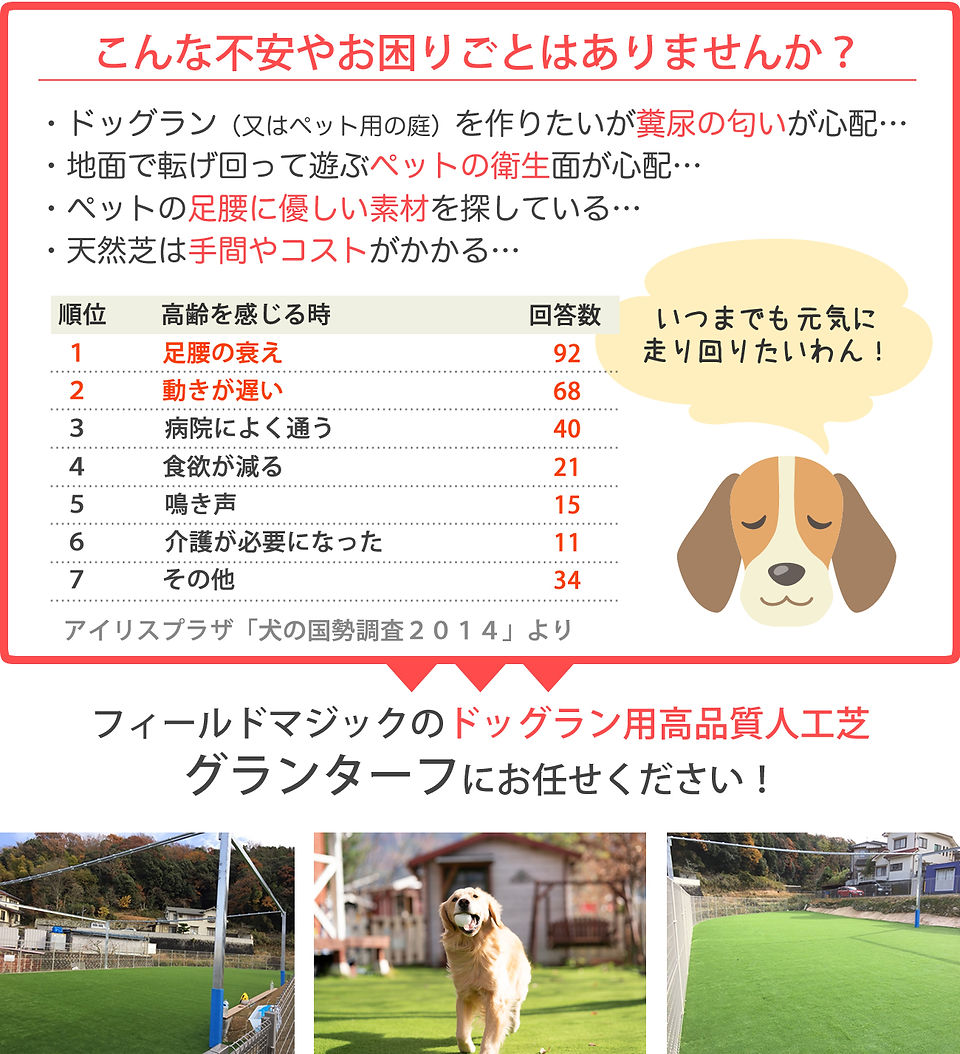 グランターフ