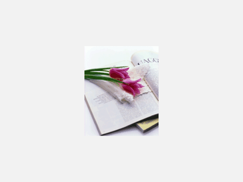 3.gif