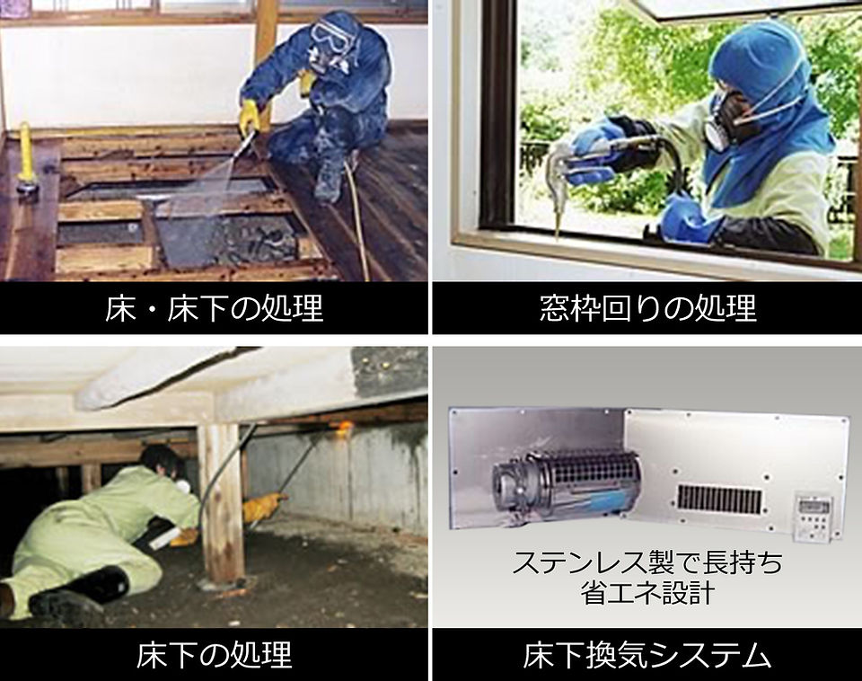 シロアリ対策