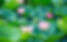 AdobeStock_362328414.jpeg