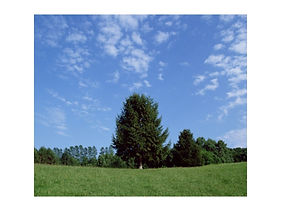 サービス内容②