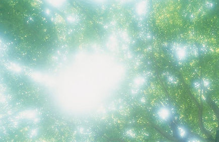 ビジネス・仕事運の参考例