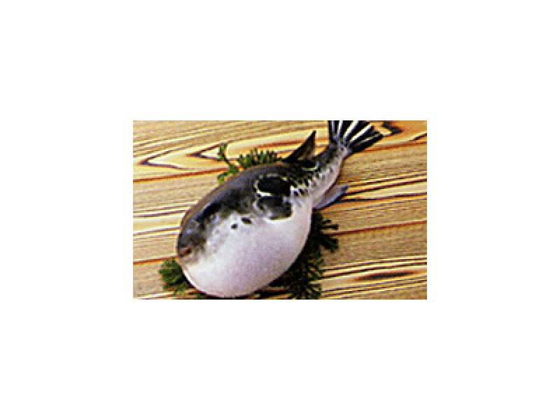 ふぐ