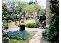 造園工事