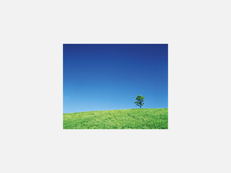 6396681.gif
