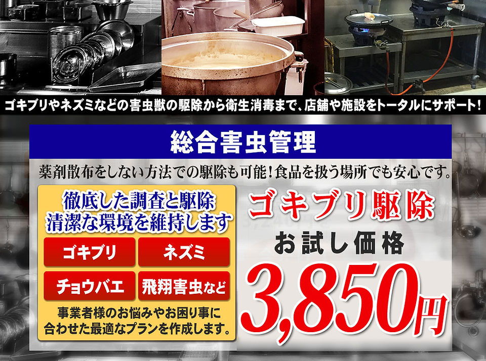 ランディング1
