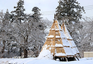 専門家によるトータルサポート