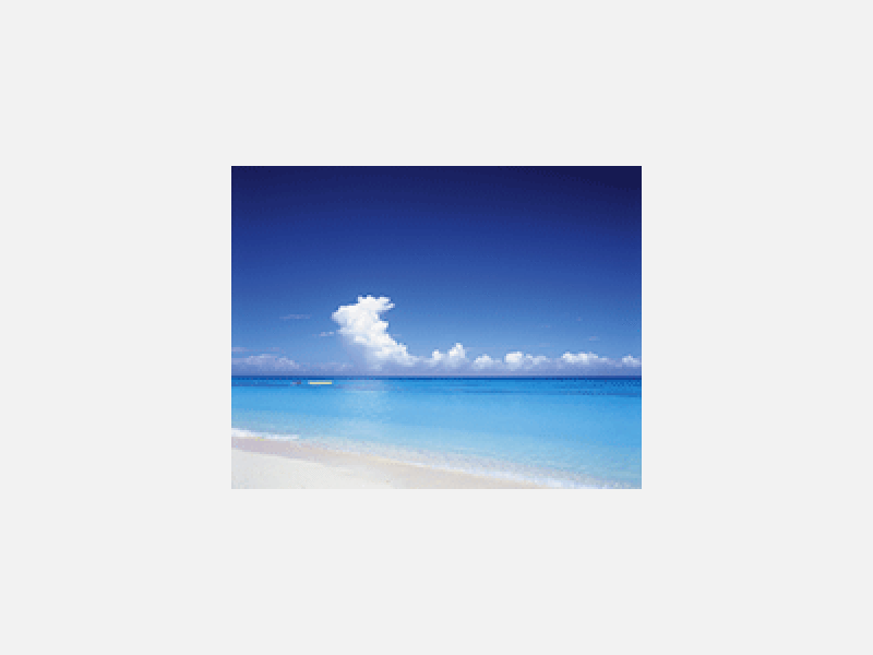 6396682.gif