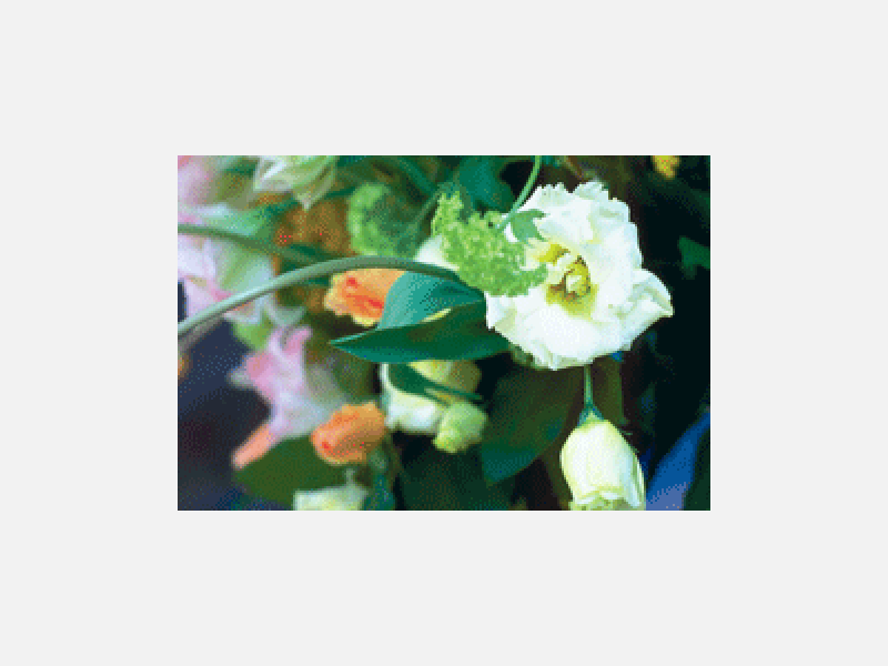 花