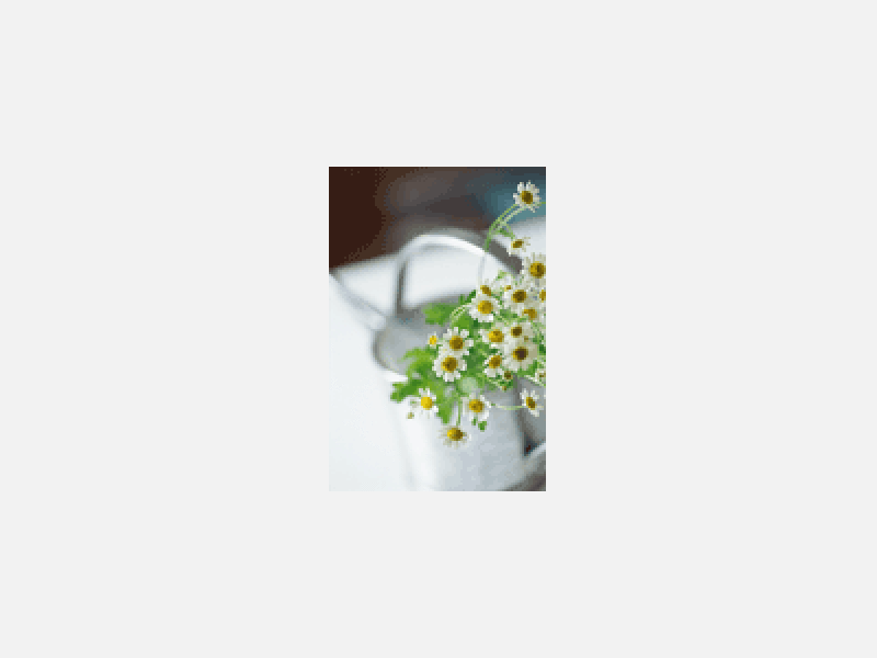 2.gif
