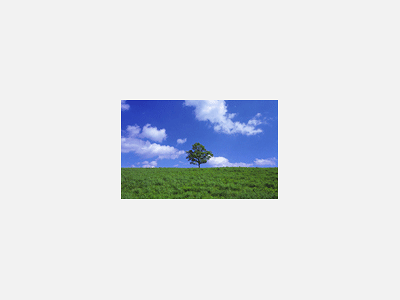 木と空