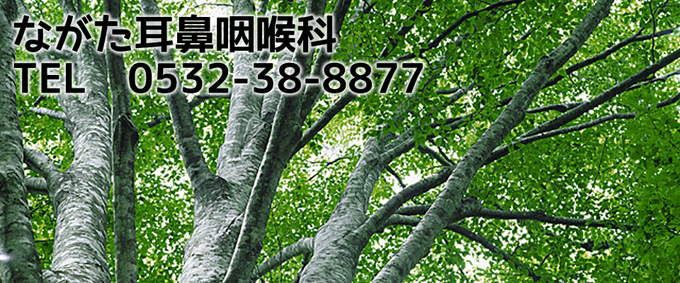 木