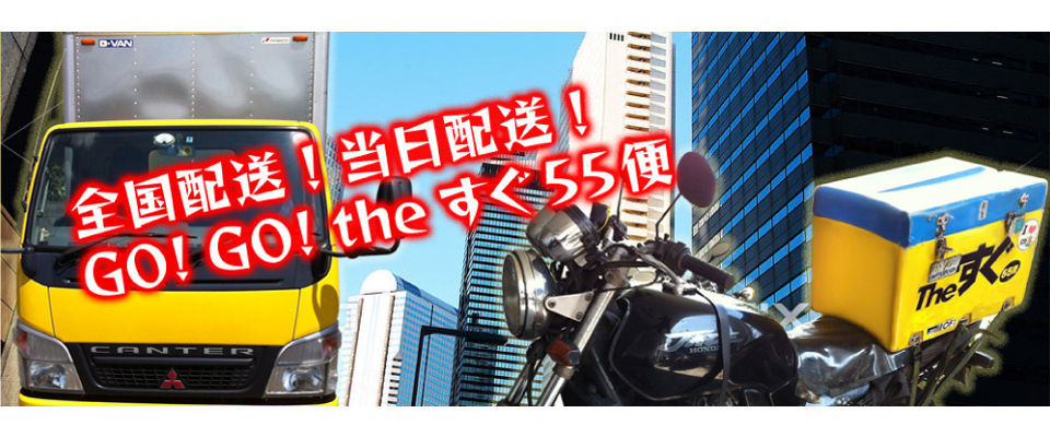 全国配送!当日配送!GOGO the すぐ55便