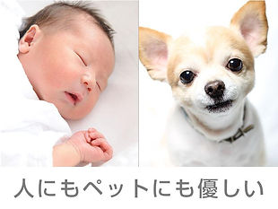 赤ちゃんと犬