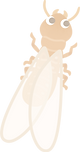 シロアリイラスト