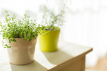 正確な診察と、生活の質を意識した治療